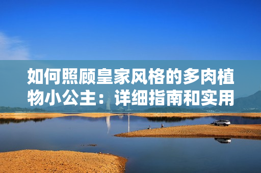 如何照顧皇家風格的多肉植物小公主：詳細指南和實用技巧