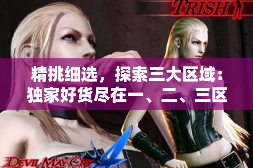 精挑細(xì)選，探索三大區(qū)域：獨(dú)家好貨盡在一、二、三區(qū)