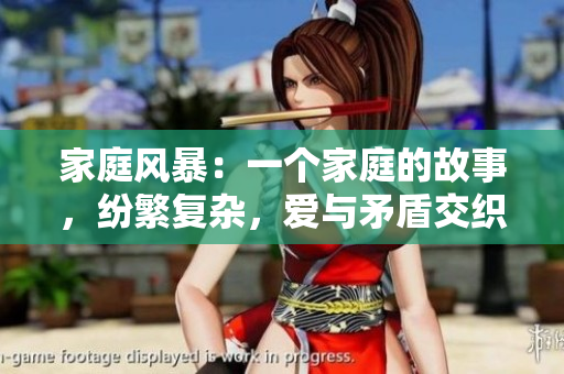 家庭風(fēng)暴：一個(gè)家庭的故事，紛繁復(fù)雜，愛(ài)與矛盾交織