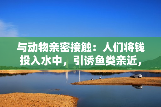 與動(dòng)物親密接觸：人們將錢投入水中，引誘魚類親近，稱之為什么？