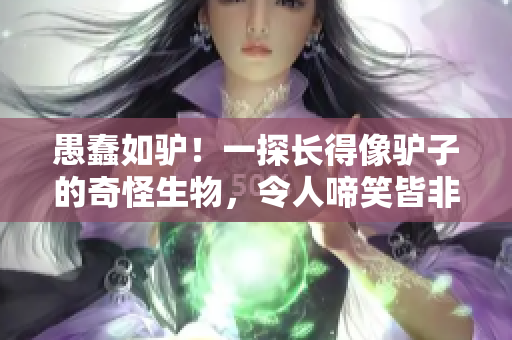 愚蠢如驢！一探長得像驢子的奇怪生物，令人啼笑皆非的故事揭秘