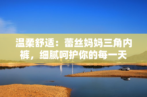 溫柔舒適：蕾絲媽媽三角內(nèi)褲，細(xì)膩呵護(hù)你的每一天