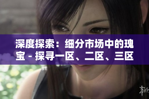 深度探索：細(xì)分市場(chǎng)中的瑰寶 - 探尋一區(qū)、二區(qū)、三區(qū)的獨(dú)特之處