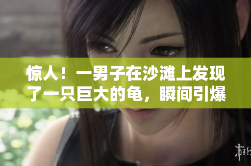 驚人！一男子在沙灘上發(fā)現(xiàn)了一只巨大的龜，瞬間引爆網(wǎng)絡(luò)！