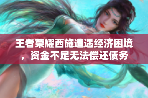 王者榮耀西施遭遇經(jīng)濟困境，資金不足無法償還債務