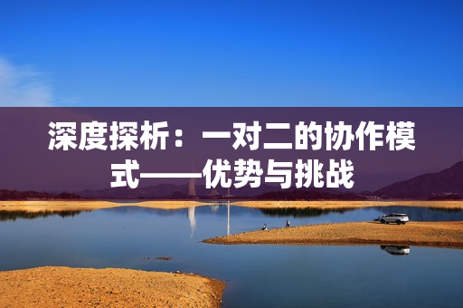 深度探析：一對二的協(xié)作模式——優(yōu)勢與挑戰(zhàn)