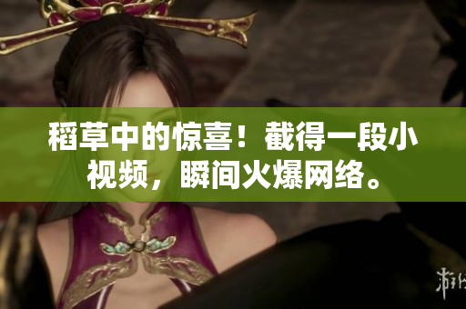 稻草中的驚喜！截得一段小視頻，瞬間火爆網(wǎng)絡(luò)。