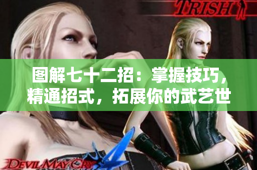 圖解七十二招：掌握技巧，精通招式，拓展你的武藝世界