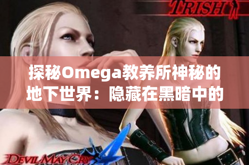 探秘Omega教養(yǎng)所神秘的地下世界：隱藏在黑暗中的秘密與真相