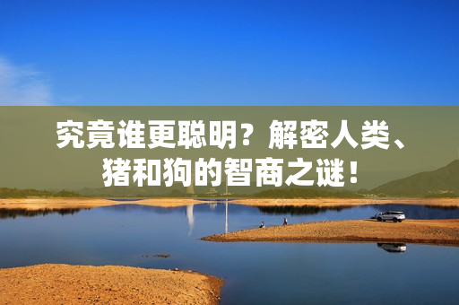 究竟誰更聰明？解密人類、豬和狗的智商之謎！