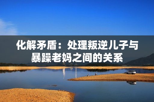 化解矛盾：處理叛逆兒子與暴躁老媽之間的關(guān)系