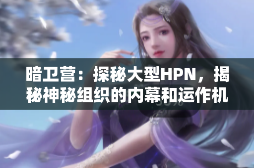 暗衛(wèi)營：探秘大型HPN，揭秘神秘組織的內(nèi)幕和運(yùn)作機(jī)制