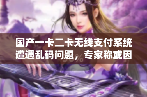 國產(chǎn)一卡二卡無線支付系統(tǒng)遭遇亂碼問題，專家稱或因技術(shù)缺陷。