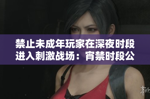 禁止未成年玩家在深夜時(shí)段進(jìn)入刺激戰(zhàn)場：宵禁時(shí)段公告