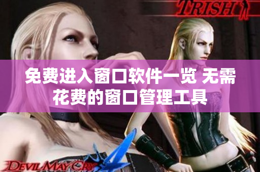 免費(fèi)進(jìn)入窗口軟件一覽 無需花費(fèi)的窗口管理工具