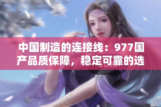 中國制造的連接線：977國產(chǎn)品質(zhì)保障，穩(wěn)定可靠的選擇