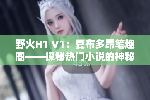 野火H1 V1：夏布多昂筆趣閣——探秘?zé)衢T小說的神秘世界