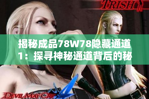 揭秘成品78W78隱藏通道1：探尋神秘通道背后的秘密