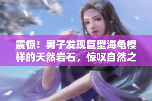 震驚！男子發(fā)現(xiàn)巨型海龜模樣的天然巖石，驚嘆自然之奇