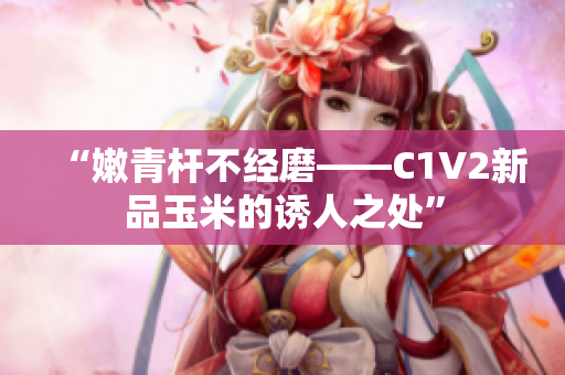 “嫩青桿不經(jīng)磨——C1V2新品玉米的誘人之處”