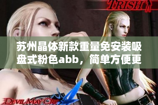 蘇州晶體新款重量免安裝吸盤式粉色abb，簡單方便更美觀