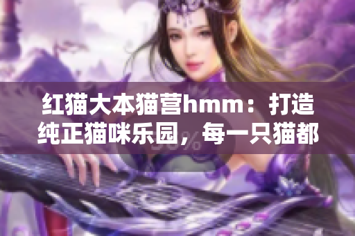 紅貓大本貓營hmm：打造純正貓咪樂園，每一只貓都有其故事