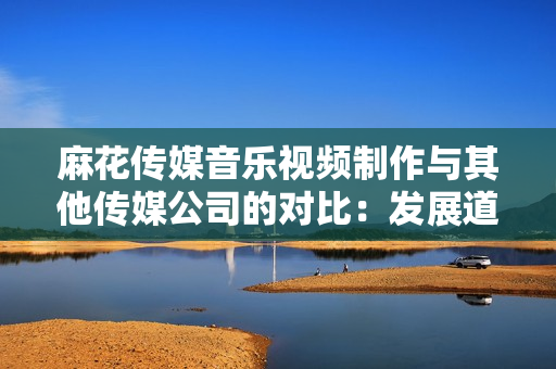 麻花傳媒音樂視頻制作與其他傳媒公司的對比：發(fā)展道路、創(chuàng)意成果、行業(yè)地位等