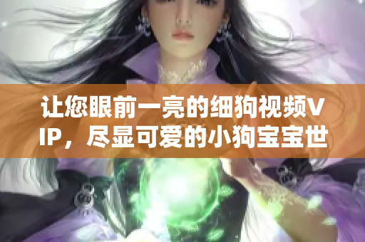 讓您眼前一亮的細(xì)狗視頻VIP，盡顯可愛的小狗寶寶世界