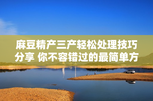 麻豆精產(chǎn)三產(chǎn)輕松處理技巧分享 你不容錯(cuò)過的最簡單方法