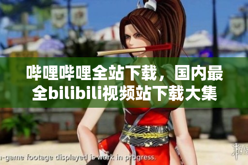 嗶哩嗶哩全站下載，國內(nèi)最全bilibili視頻站下載大集合