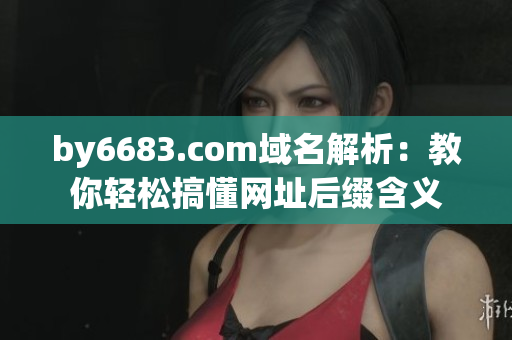 by6683.com域名解析：教你輕松搞懂網(wǎng)址后綴含義
