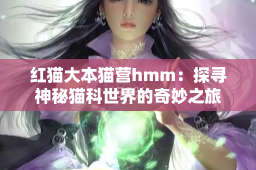 紅貓大本貓營hmm：探尋神秘貓科世界的奇妙之旅
