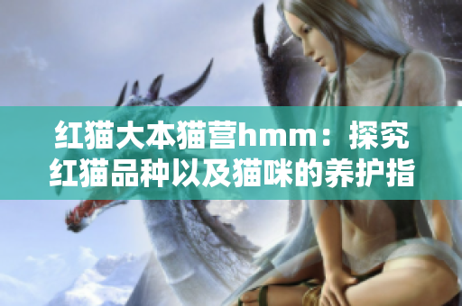 紅貓大本貓營(yíng)hmm：探究紅貓品種以及貓咪的養(yǎng)護(hù)指南