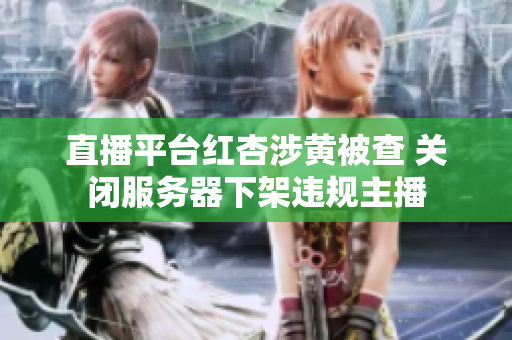 直播平臺紅杏涉黃被查 關(guān)閉服務(wù)器下架違規(guī)主播