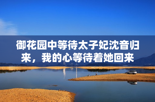 御花園中等待太子妃沈音歸來，我的心等待著她回來
