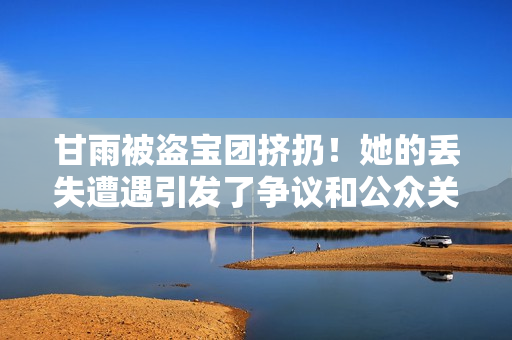 甘雨被盜寶團擠扔！她的丟失遭遇引發(fā)了爭議和公眾關注