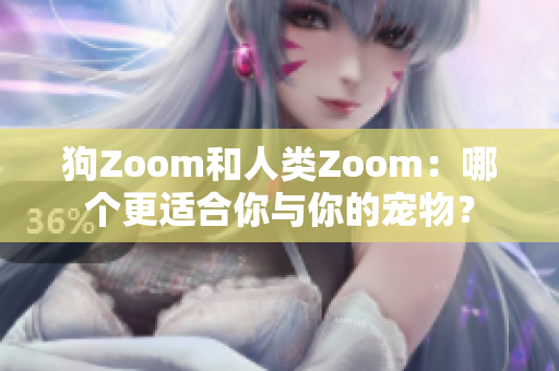 狗Zoom和人類Zoom：哪個(gè)更適合你與你的寵物？