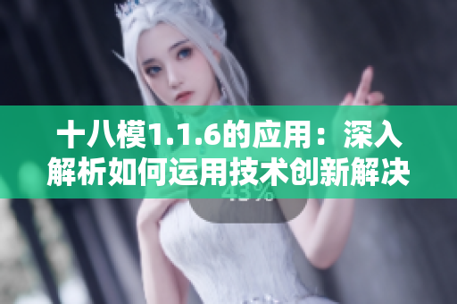十八模1.1.6的應用：深入解析如何運用技術創(chuàng)新解決實際問題