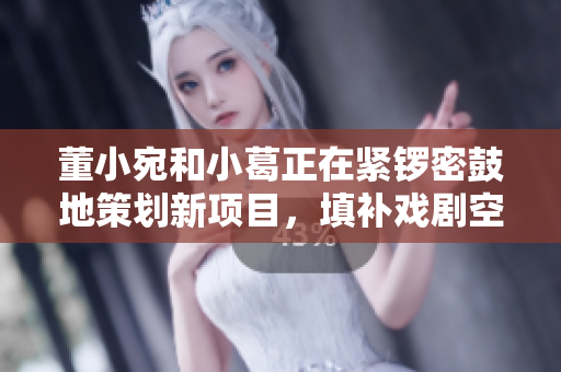 董小宛和小葛正在緊鑼密鼓地策劃新項目，填補(bǔ)戲劇空白，改編經(jīng)典作品。