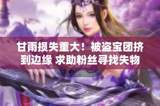 甘雨損失重大！被盜寶團擠到邊緣 求助粉絲尋找失物