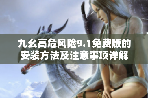 九幺高危風(fēng)險9.1免費(fèi)版的安裝方法及注意事項(xiàng)詳解