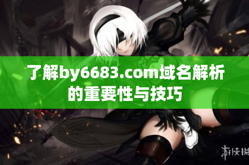 了解by6683.com域名解析的重要性與技巧