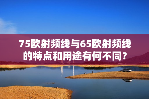 75歐射頻線與65歐射頻線的特點(diǎn)和用途有何不同？