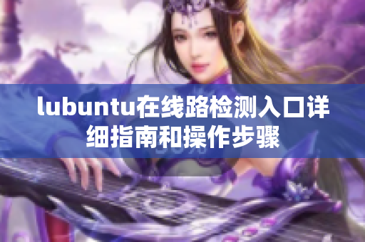 lubuntu在線(xiàn)路檢測(cè)入口詳細(xì)指南和操作步驟