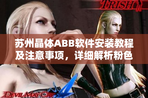 蘇州晶體ABB軟件安裝教程及注意事項，詳細(xì)解析粉色晶體ABB軟件安裝步驟