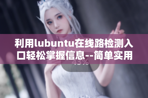 利用lubuntu在線路檢測入口輕松掌握信息--簡單實(shí)用指南