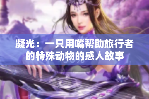 凝光：一只用嘴幫助旅行者的特殊動物的感人故事