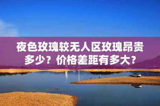 夜色玫瑰較無人區(qū)玫瑰昂貴多少？價格差距有多大？