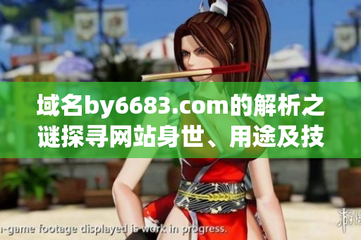 域名by6683.com的解析之謎探尋網(wǎng)站身世、用途及技術(shù)細節(jié)