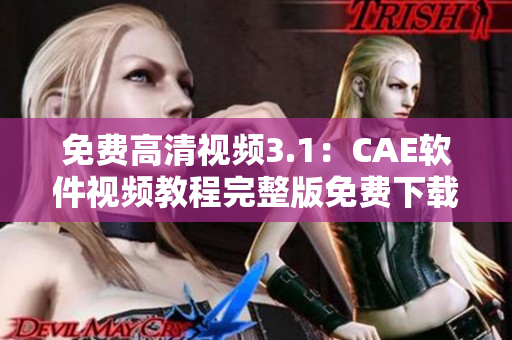 免費(fèi)高清視頻3.1：CAE軟件視頻教程完整版免費(fèi)下載